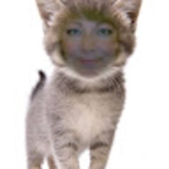 traceytfred